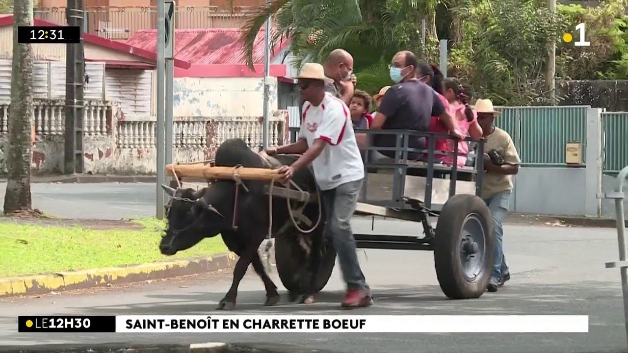 Journée du Patrimoine : montez en charrette bœufs à la découverte de Saint-Benoît
