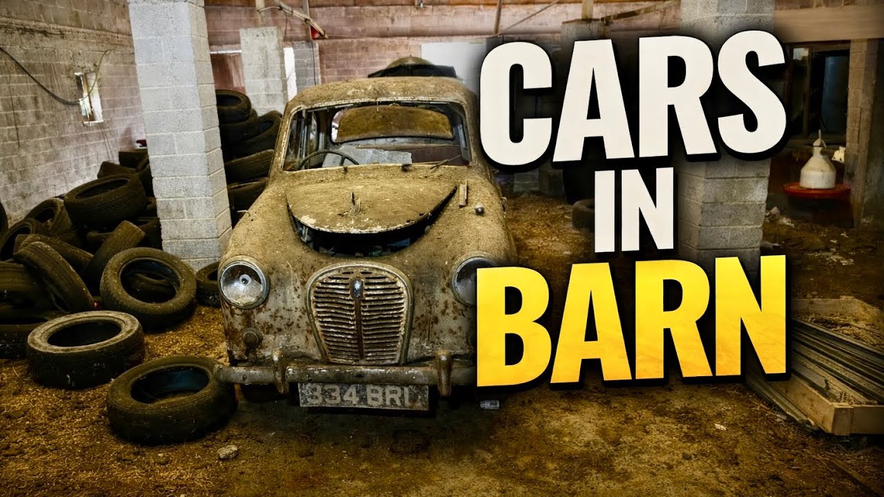 CARS IN BARN