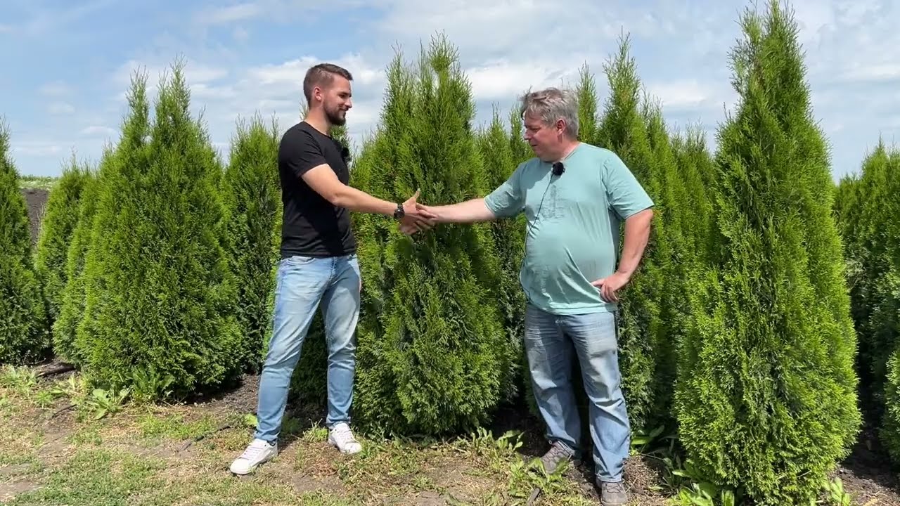 Интервью с руководителем и совладельцем питомника 