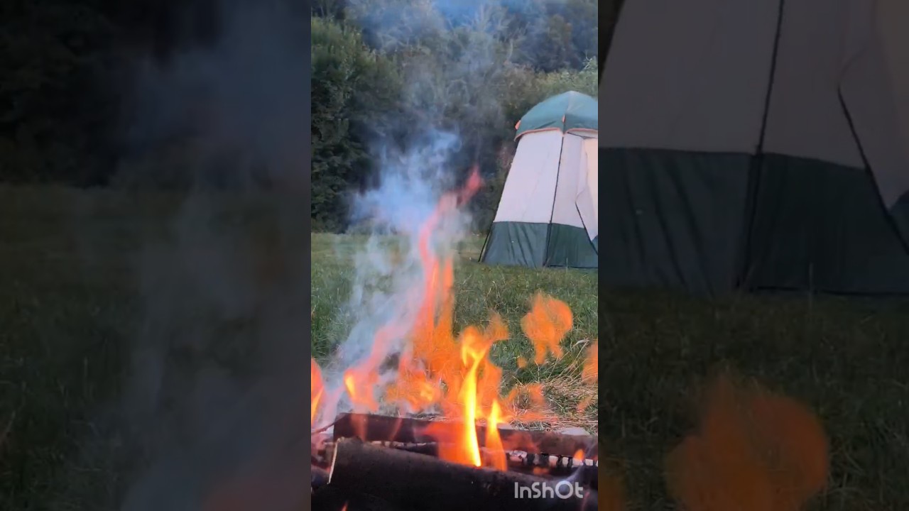Quetchua Arpenaz 4.1 tent by river #camping #river #travel #tent