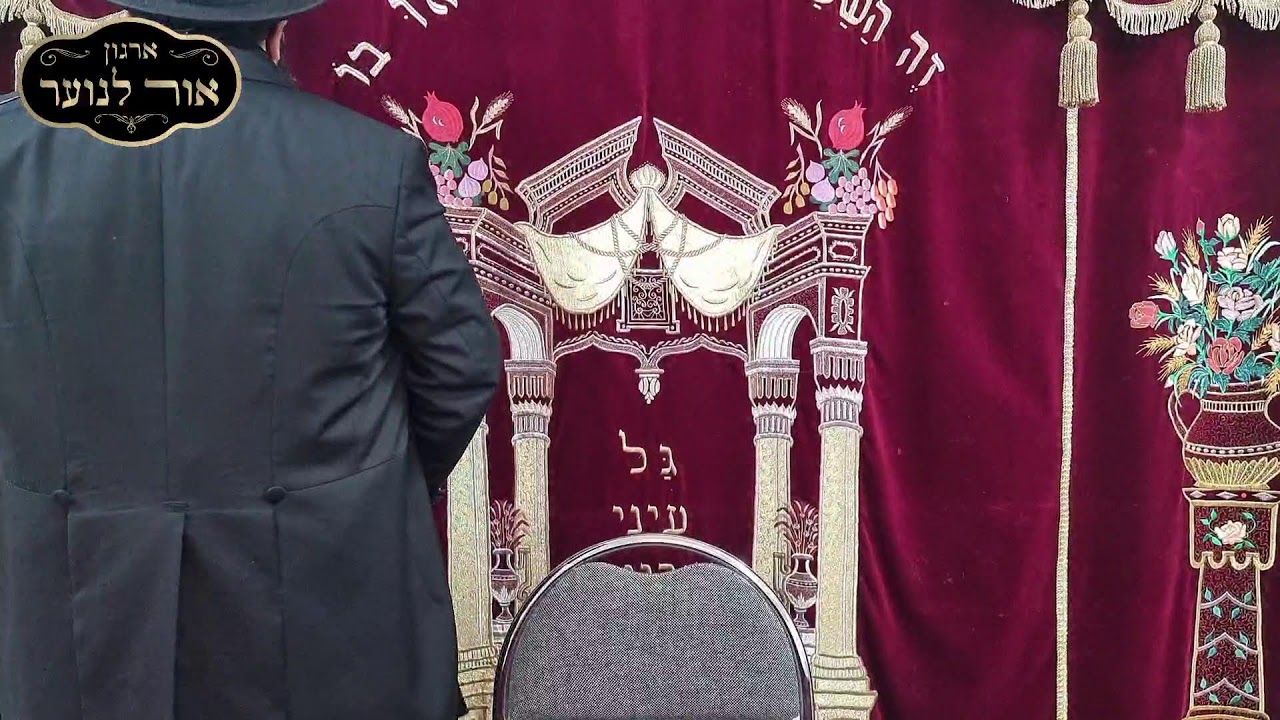 הרב רביד נגר -6 תיקונים נפלאים ומעולים לימי השובבים על פי החסידות!