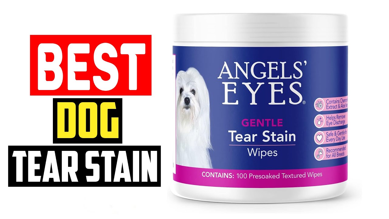 ✅Top 5 Best Dog Tear Stain of 2025