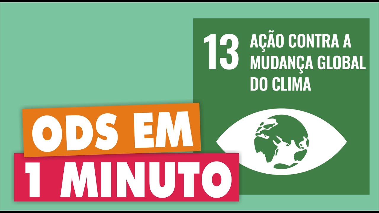 OBJETIVOS DE DESENVOLVIMENTO SUSTENT&Aacute;VEL - OBJETIVO 13