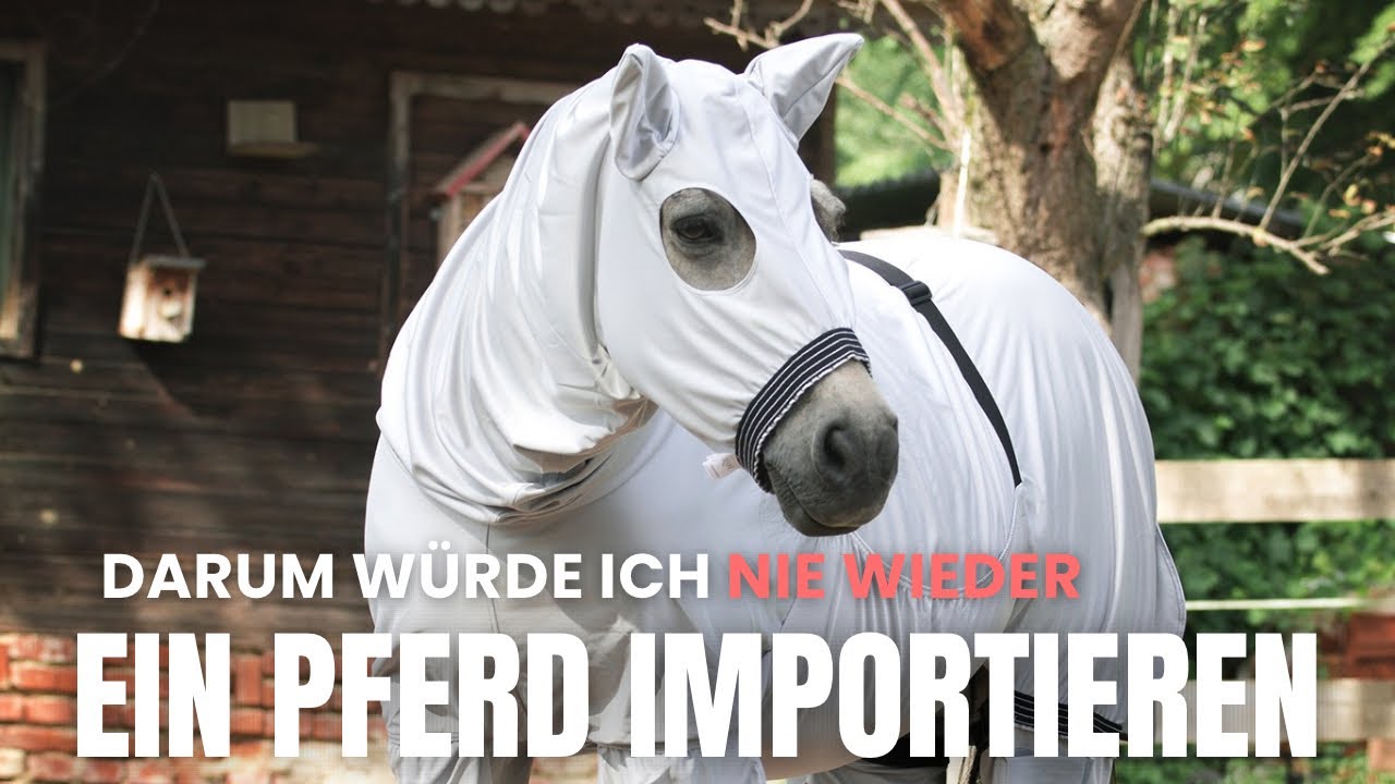 Meine Erfahrung mit Sommerekzem und wie ich es manage