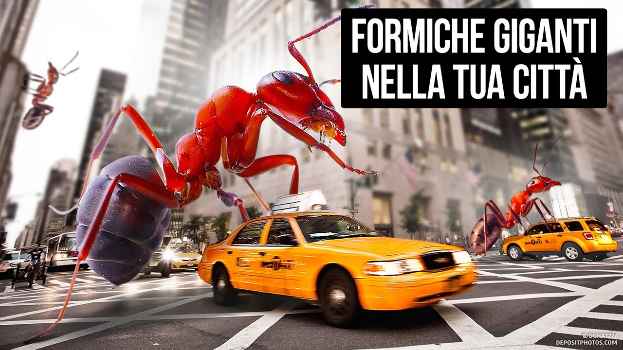 E Se La Tua Città Fosse Invasa Da Formiche Giganti?