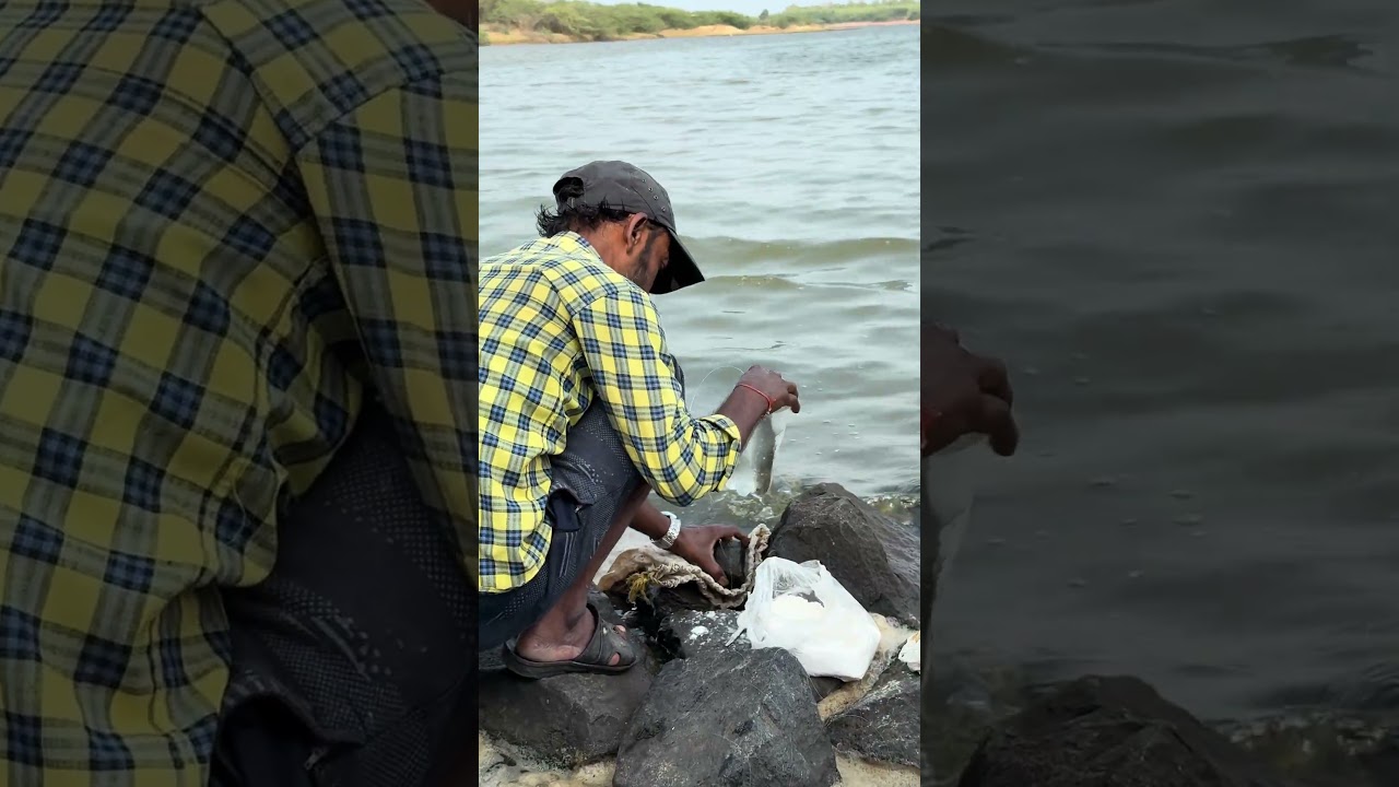 New water bottle fishing | mullet fish trap | river fishing | mullet fish catching. #fishing #blog