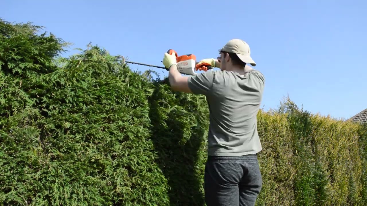 How to Trim Conifer Hedges (STIHL Electric Hedge Trimmers)