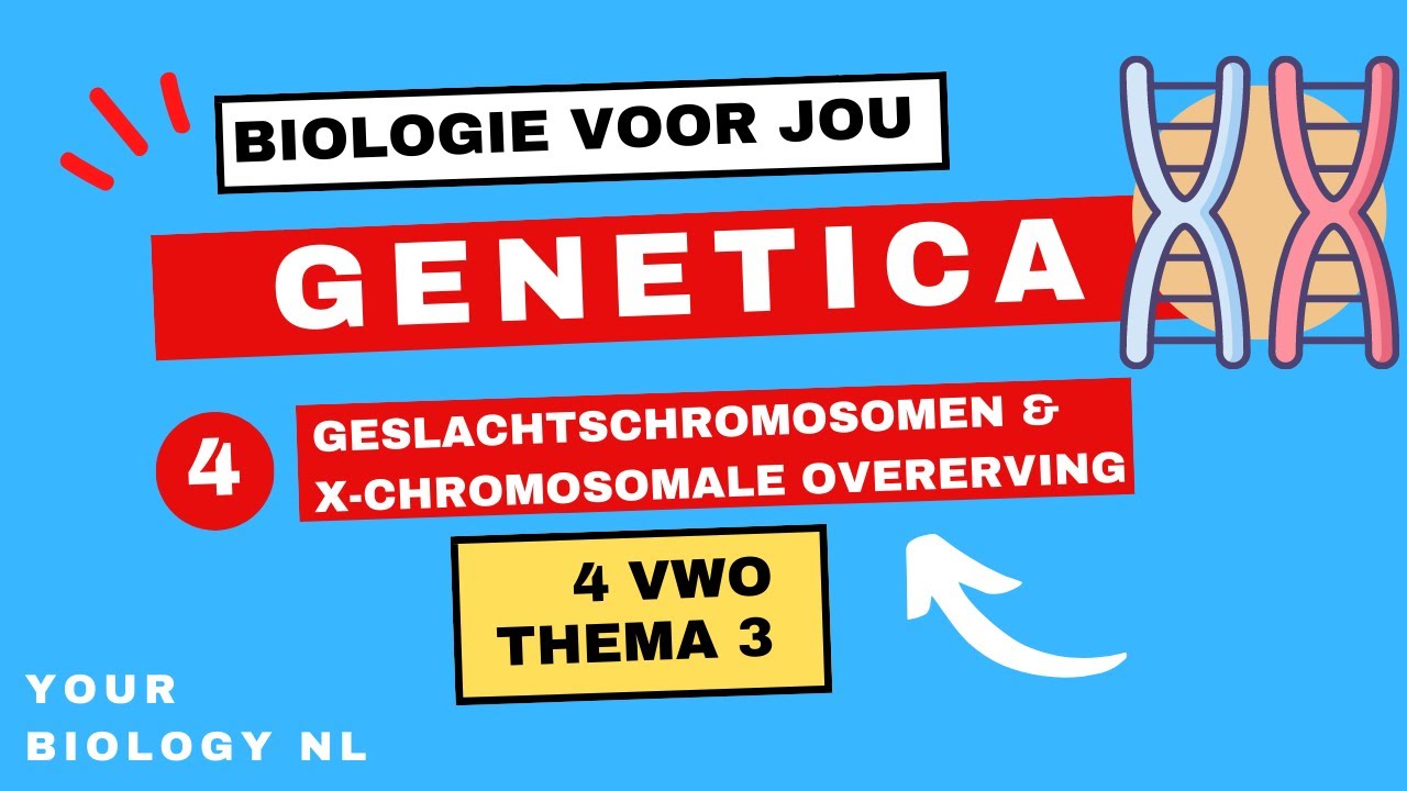 4 vwo | Genetica | 4 | Geslachtschromosomen & X-chromosomale overerving