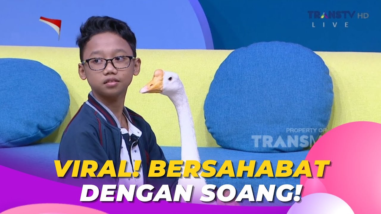 VIRAL! Bersahabat Dengan Soang! | BROWNIS (16/8/23) P1