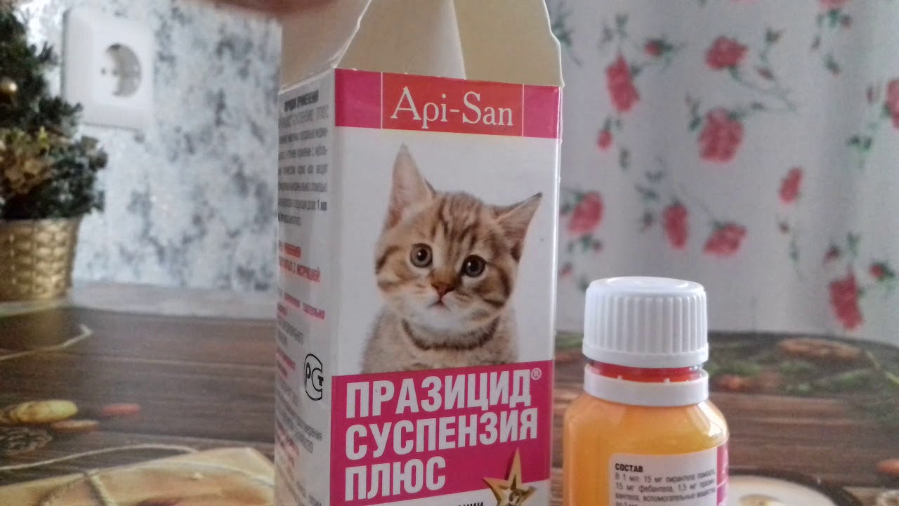 Как проглистогонить котенка ?