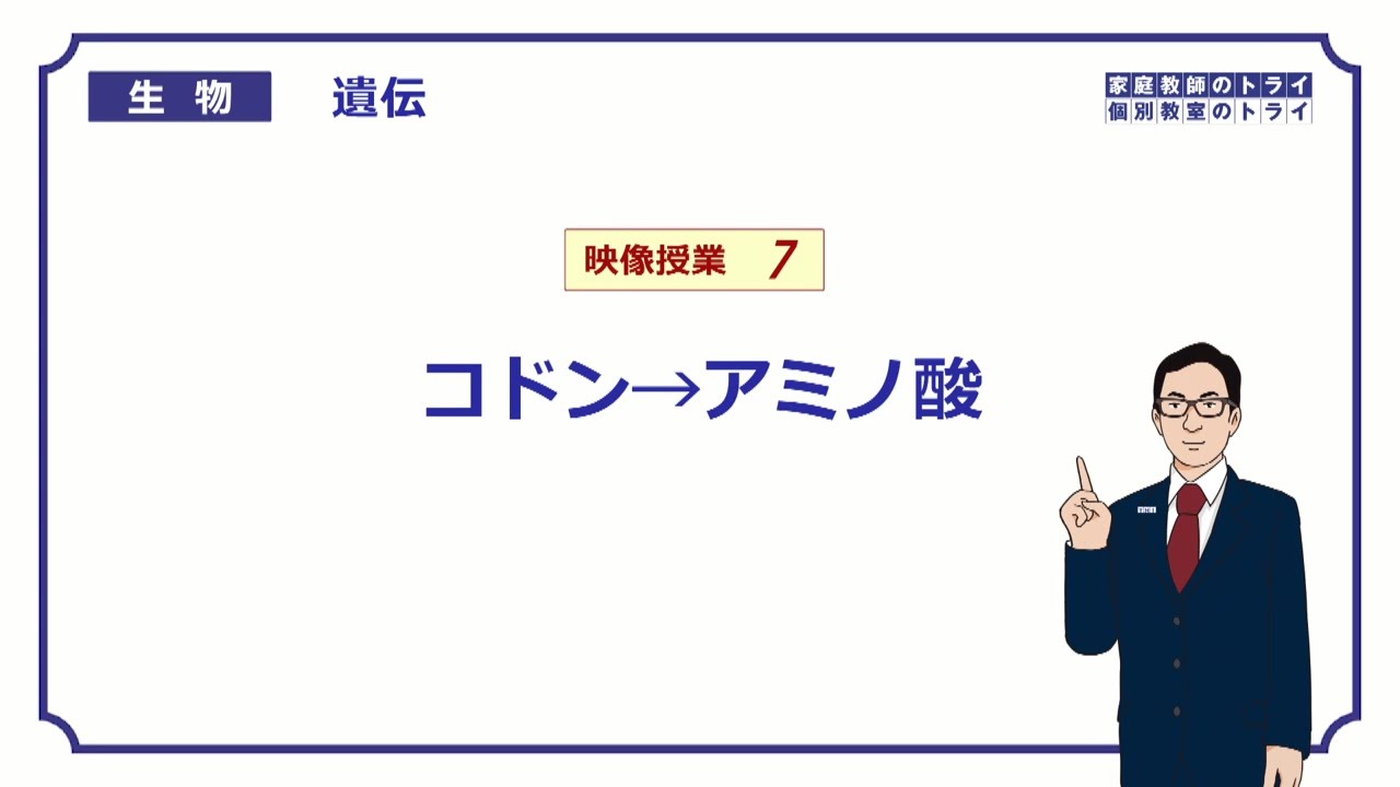 【高校生物】　遺伝7　コドン→アミノ酸（２２分）