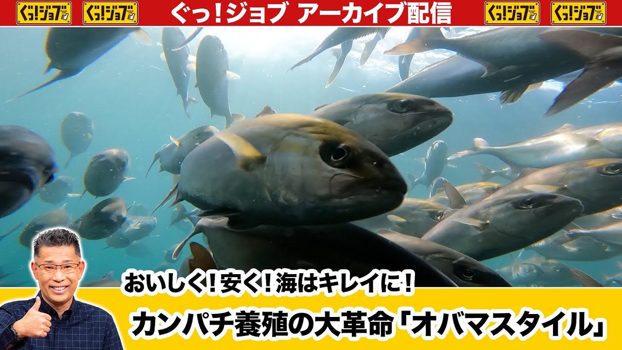 カンパチ養殖の大革命「オバマスタイル」　おいしく！安く！海はキレイに！／ぐっ！ジョブ・アーカイブ（2024年4月13日放送）