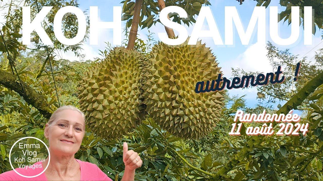 Visiter Koh Samui autrement | Que faire à Koh Samui ? Randonnée et visite de Suan Sam Anong