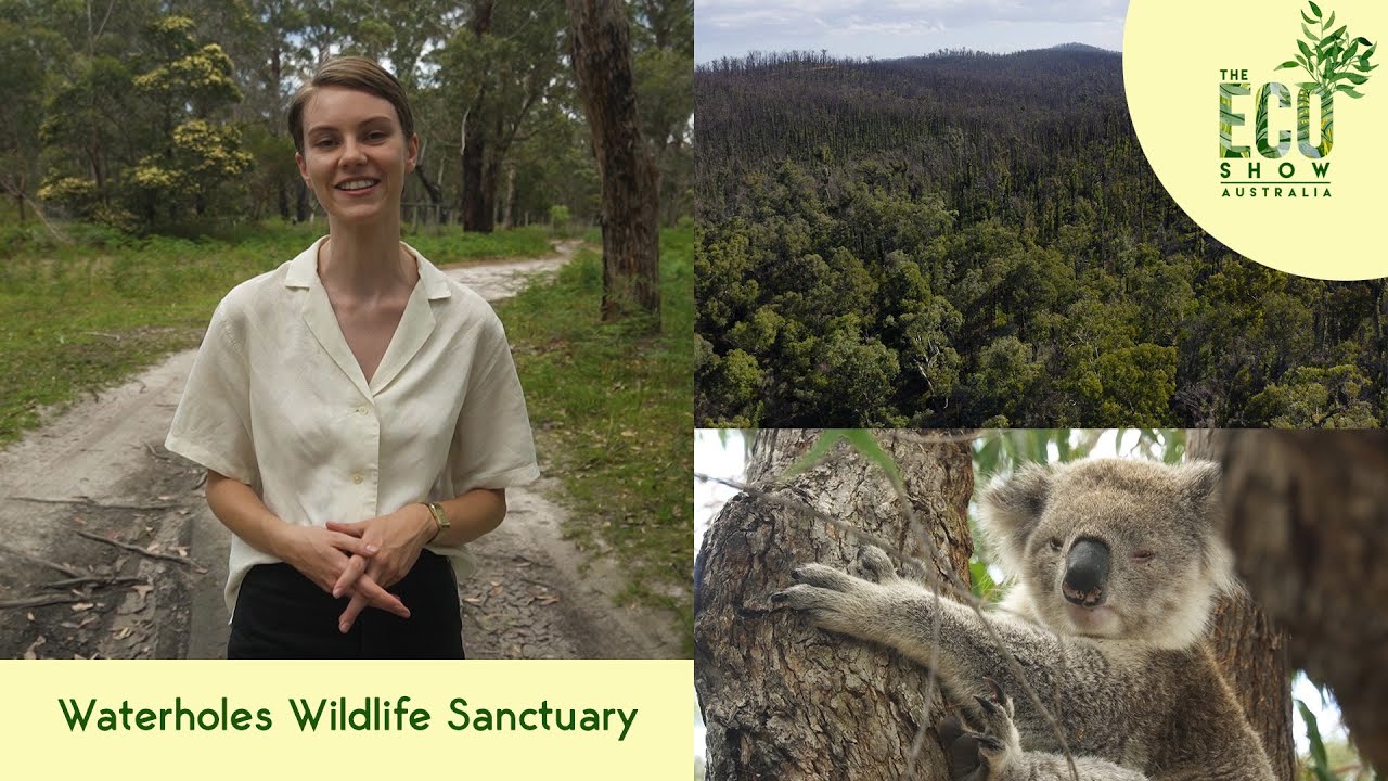 The Eco Show - S01E04 - Waterholes Wildlife Sanctuary