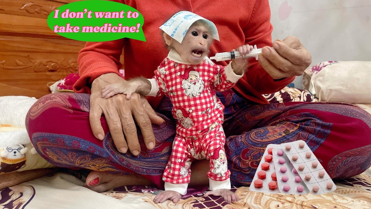 Lulu’s Health Gets Worse — Will Grandma Find a Way to Help Her?
