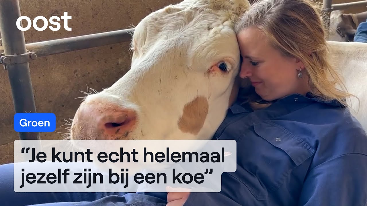 Koeknuffelen: bij de koeien van boerin Eline kom je helemaal tot rust | Oost