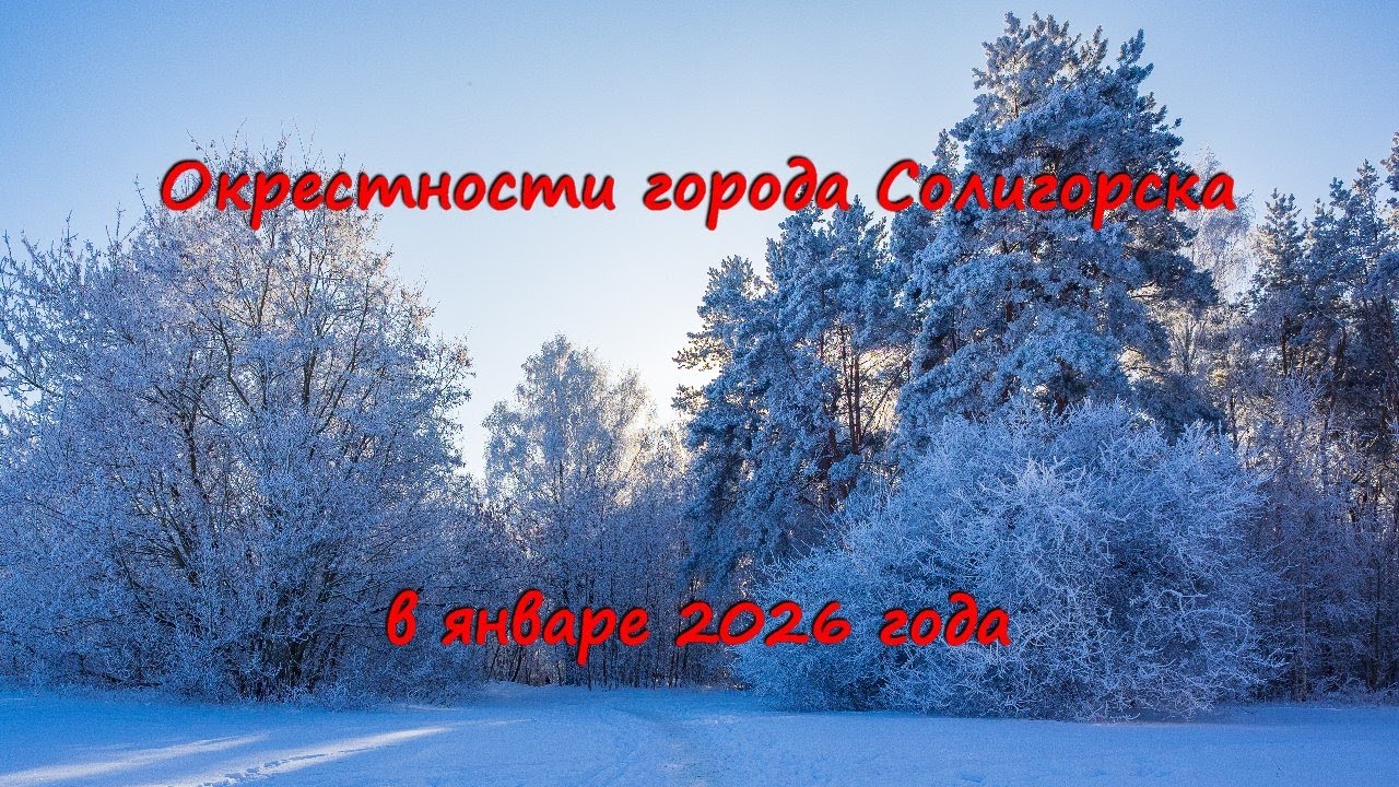 Окрестности Солигорска в январе 2026г S