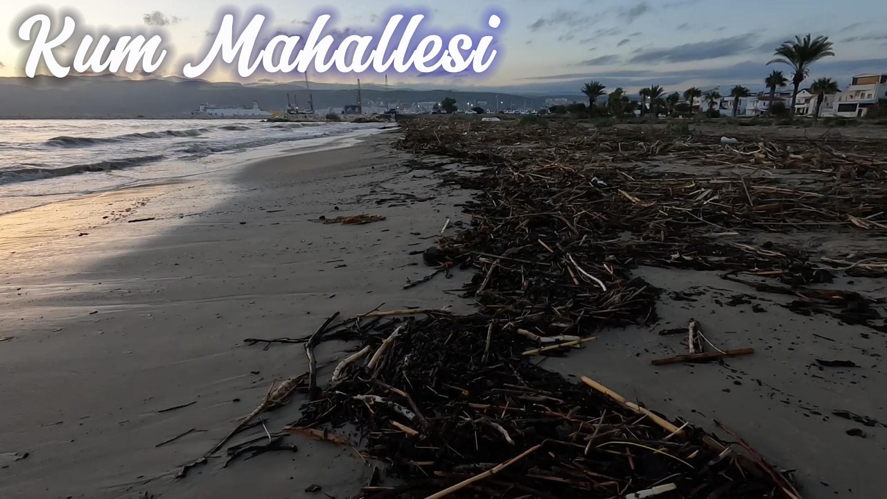 14.02.2026_Kum Mahallesi после дождей_4K