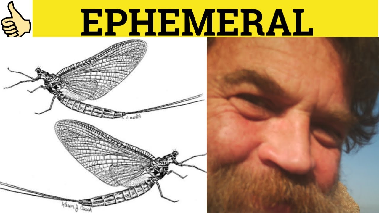 🔵 Ephemeral Ephemera - Ephemeral Meaning - Ephemera Examples- Ephemeral Defined-  GRE3500 Vocabulary