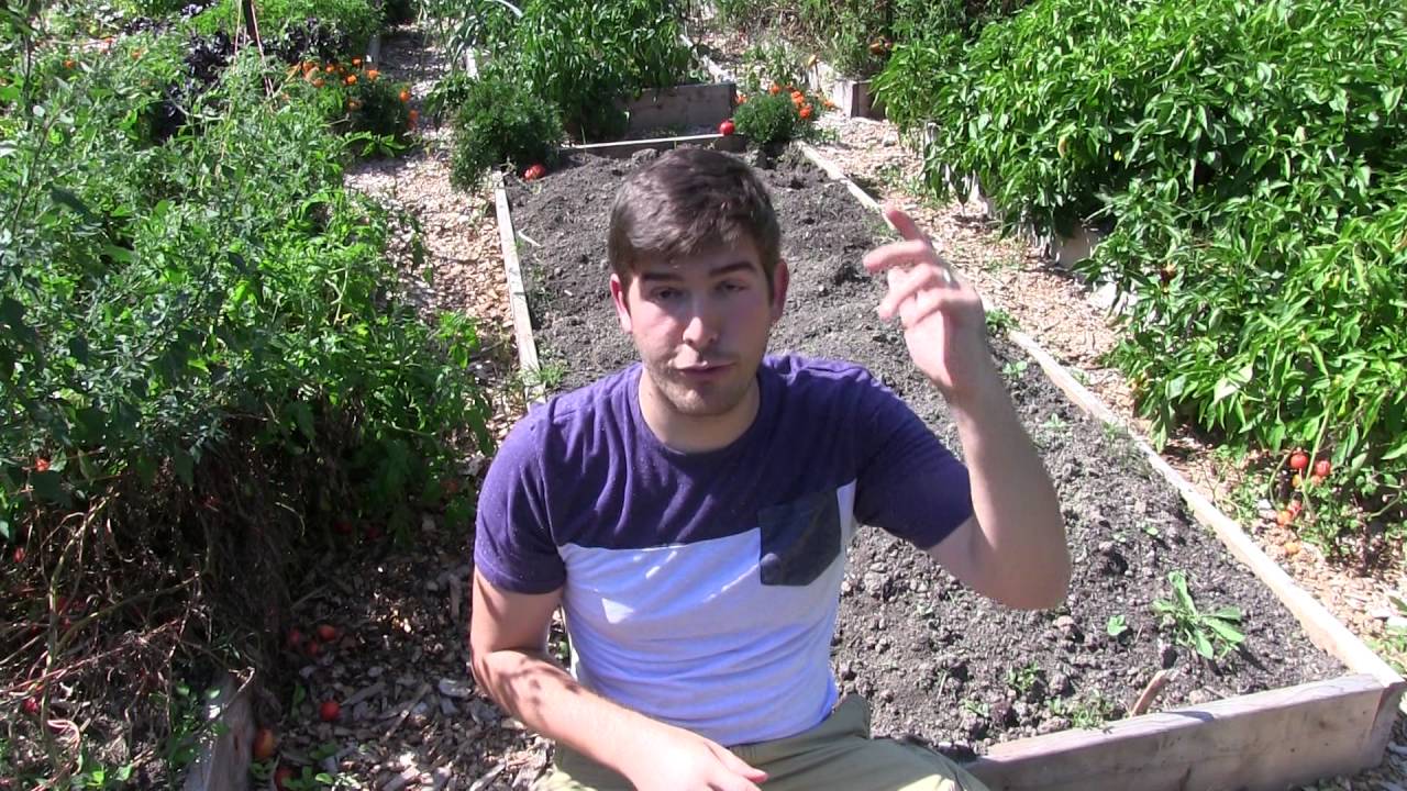 5 Gardening Myths Worth Forgetting Forever