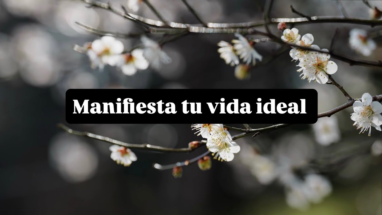 Manifiesta tu vida ideal | meditación guiada ￼✨