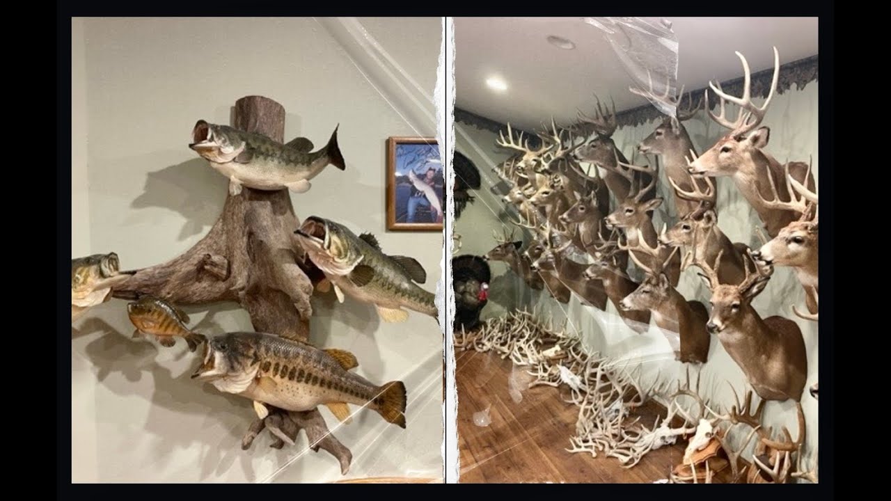From bass to bucks