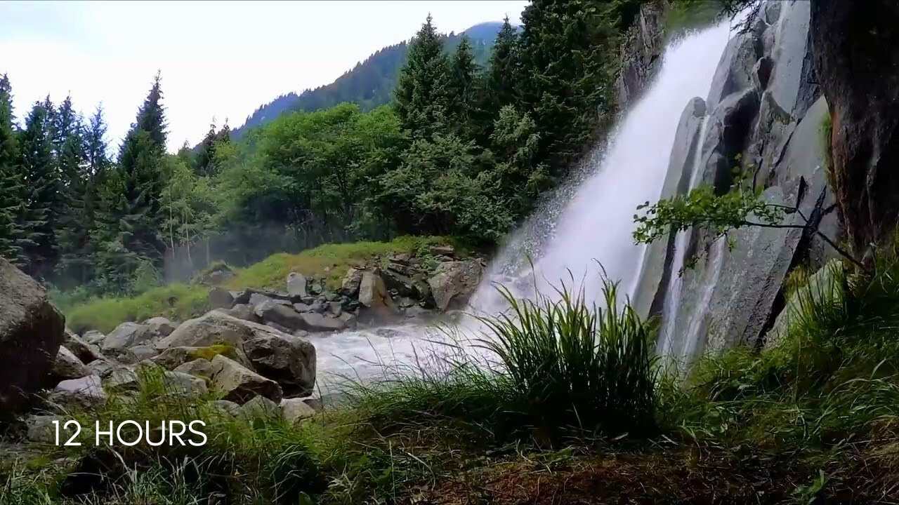 Soothing Waterfall in Forest with Gentle Wind | Deep Relaxation White Noise (No Music)