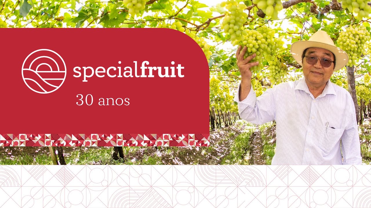 🍇 30 Anos de Special Fruit
