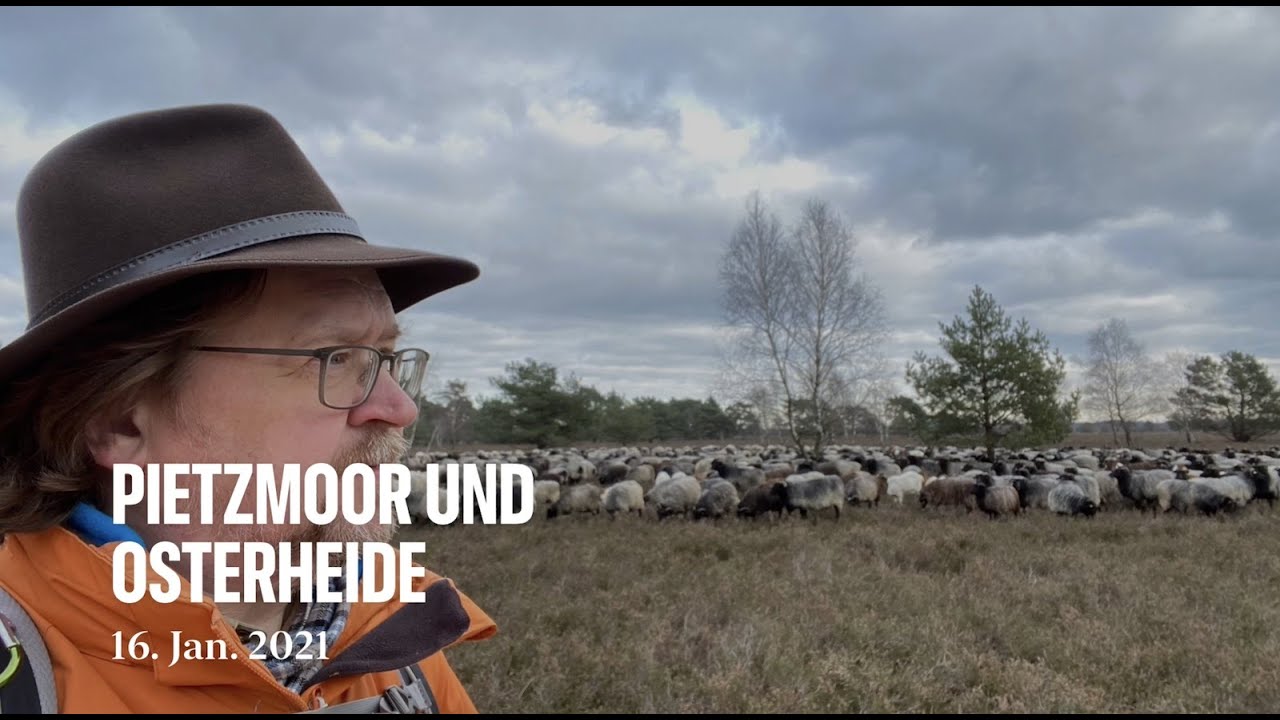 Pietzmoor und Osterheide