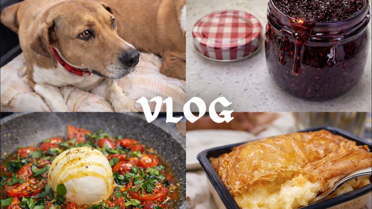 Cozy Weekend Vlog 🫐 Making Blueberry Chia Jam, Warm Caprese & A Peaceful Hike with My Dogs