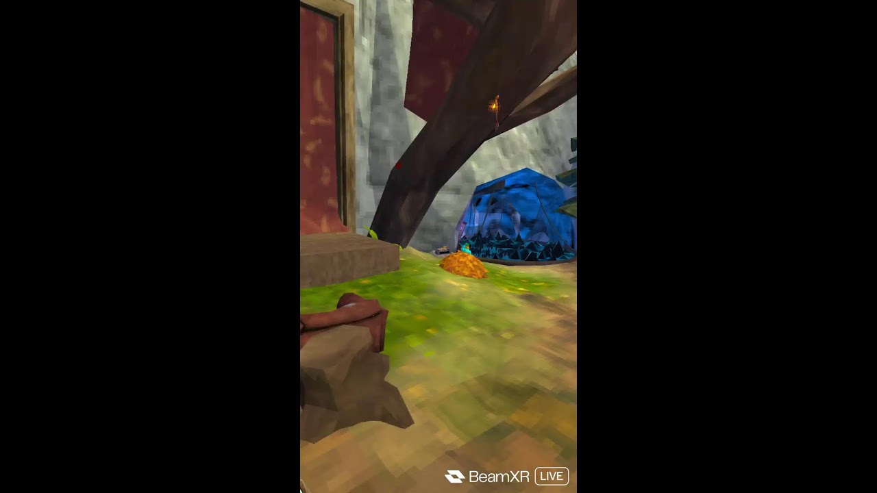 Playing Animal Company