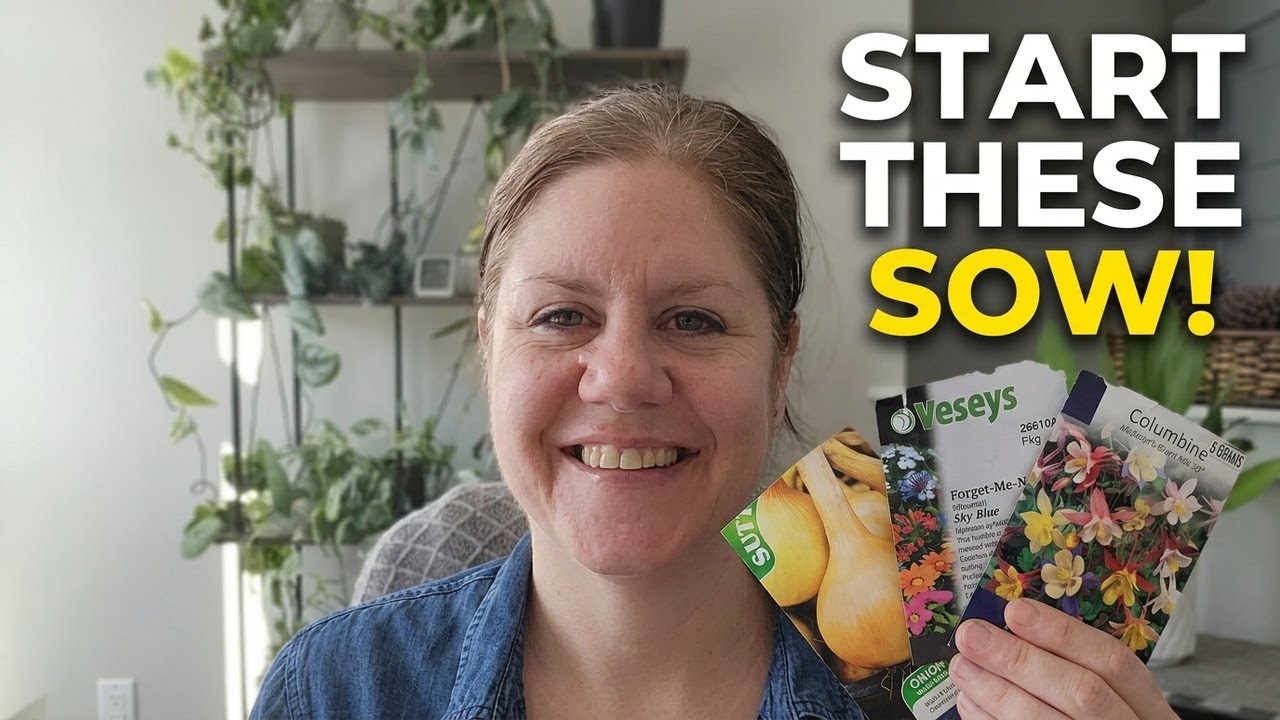Starting Seeds Indoors: Onions, Forget‑Me‑Nots & Columbine