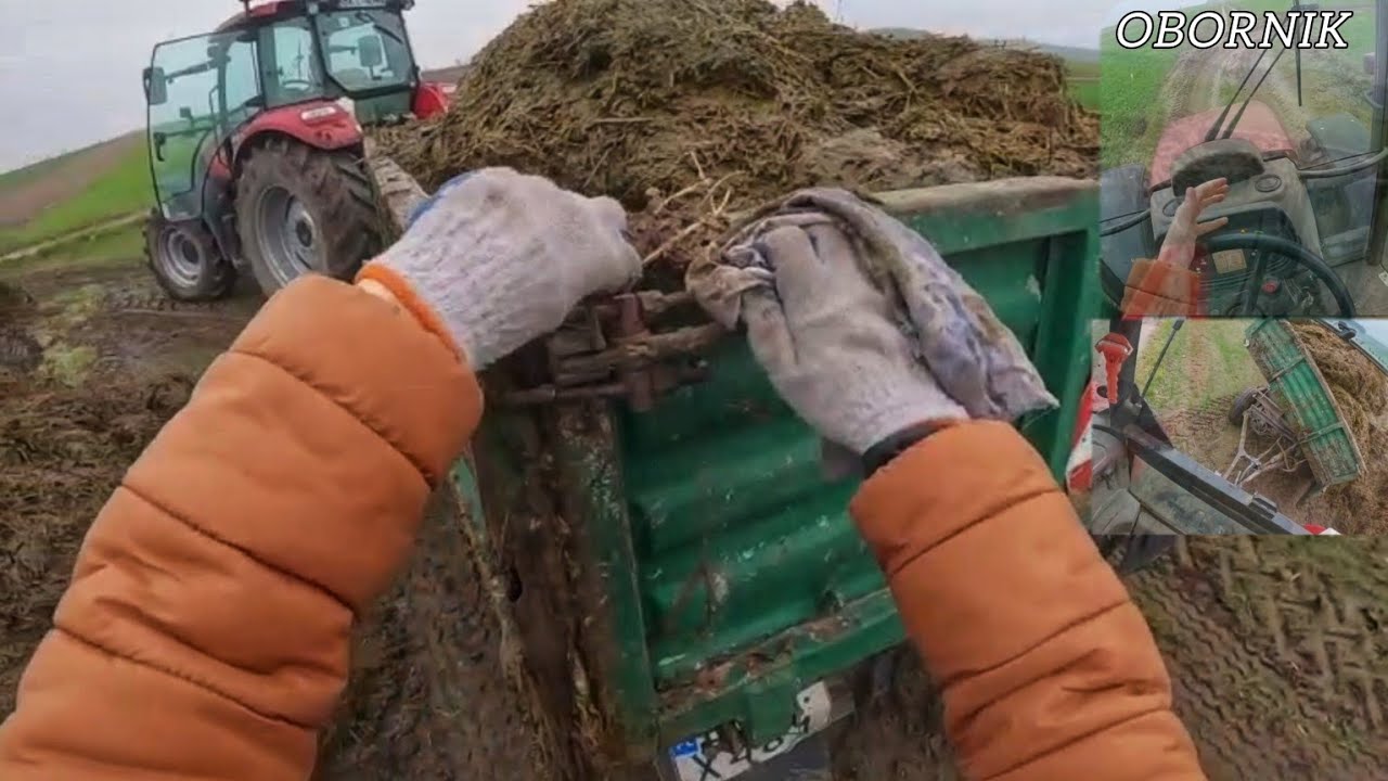 Wywóz obornika & Case Farmall 85c & ala Vlog GoPro #20