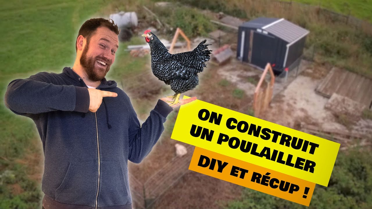 Les Néoruraux #11 // On construit un poulailler de A à Z !