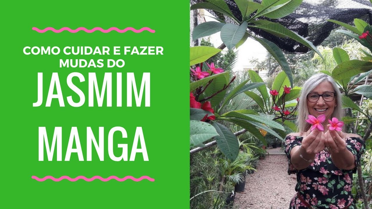 Como cuidar e fazer mudas do Jasmim Manga #jardinagem #paisagismo #jardim #dicasdeplantas