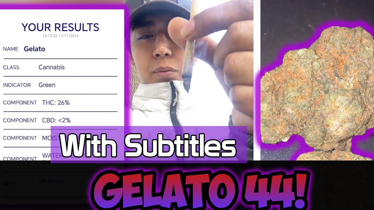 Gelato 44 (UK) Review With Subtitles #146