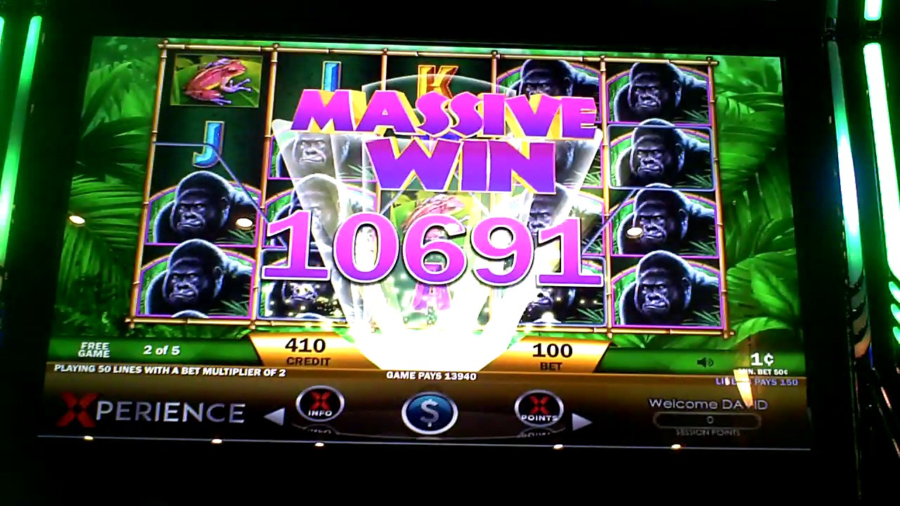 Majestic Gorilla Slot Machine BIG WIN Bonus