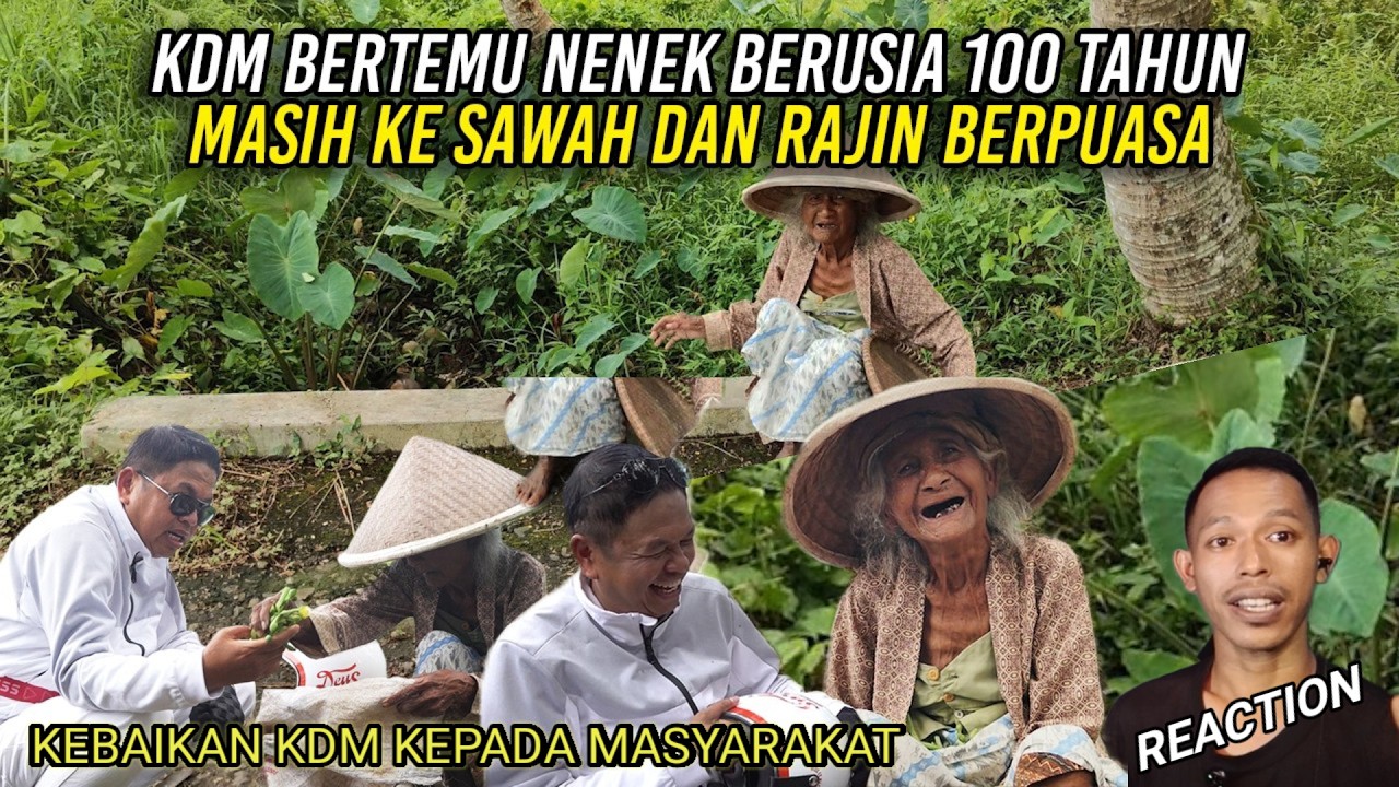 KDM BERTEMU NENEK BERUSIA 100 TAHUN MASIH KE SAWAH DAN RAJIN PUASA/ Reaction #kdm #dedymulyadi