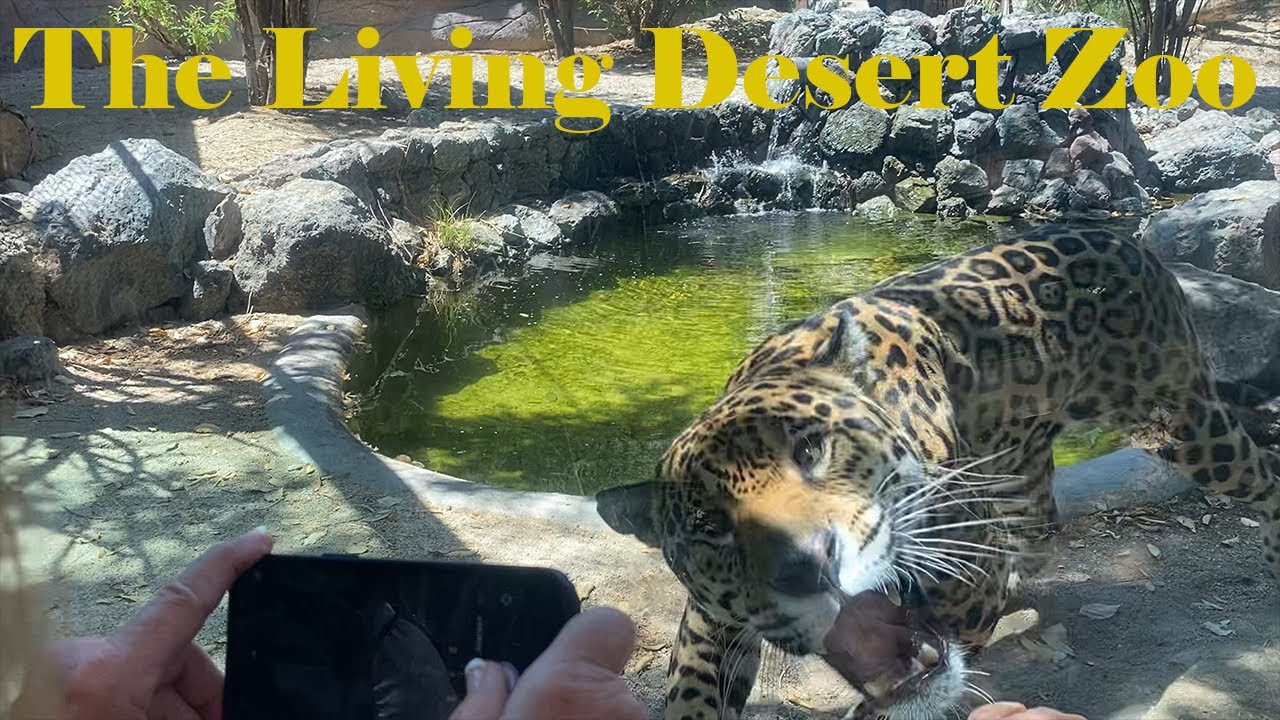 The Living Desert Zoo | Gardens - Palm Desert, California.  MUST SEE destination in Coachella Valley