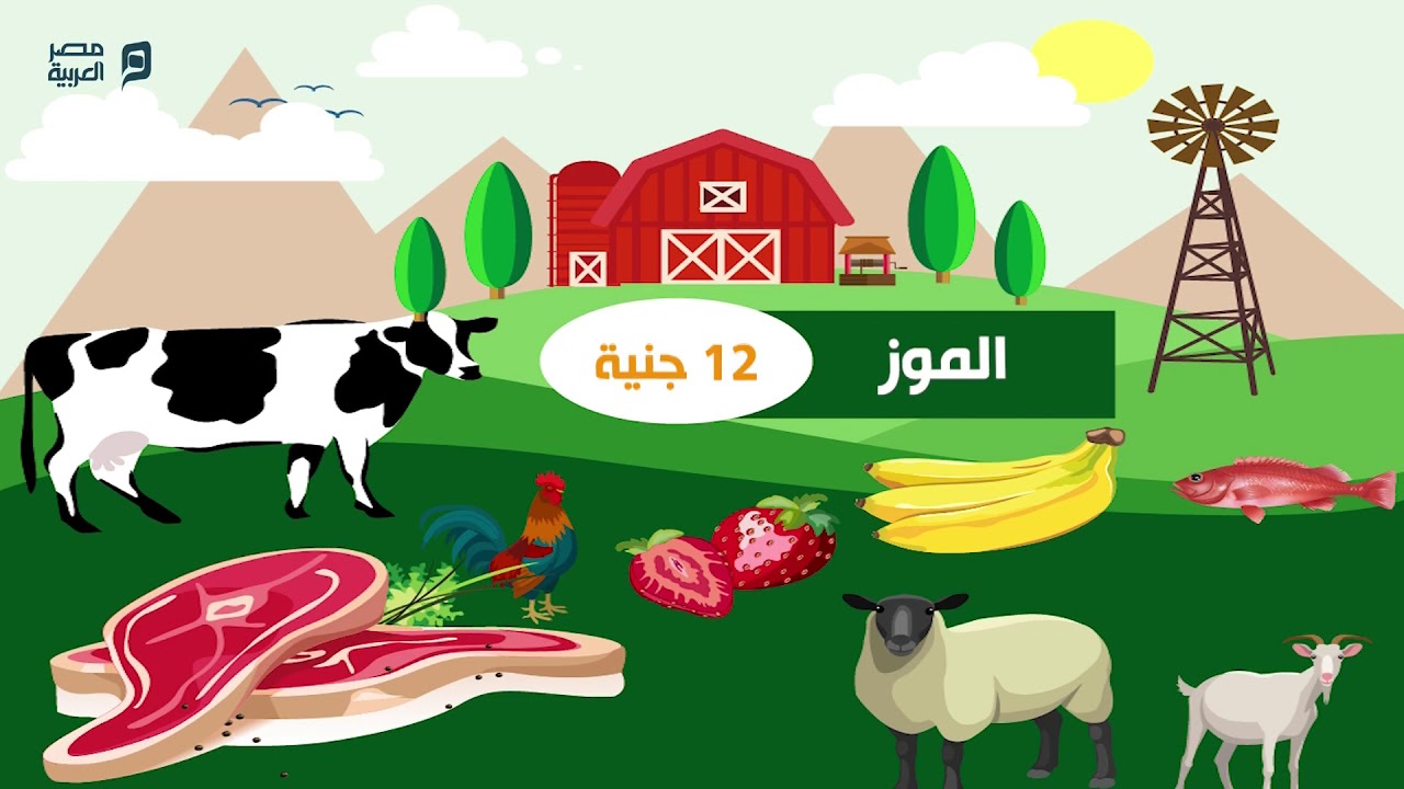 أسعار الخضار والفاكهة واللحوم والاسماك والدواجن الاثنين 22-2-2021 #مصر_العربية