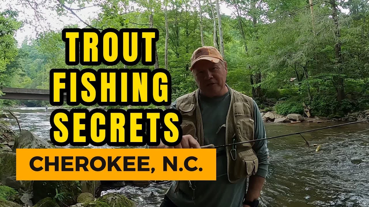Trout Fishing Cherokee, N.C.