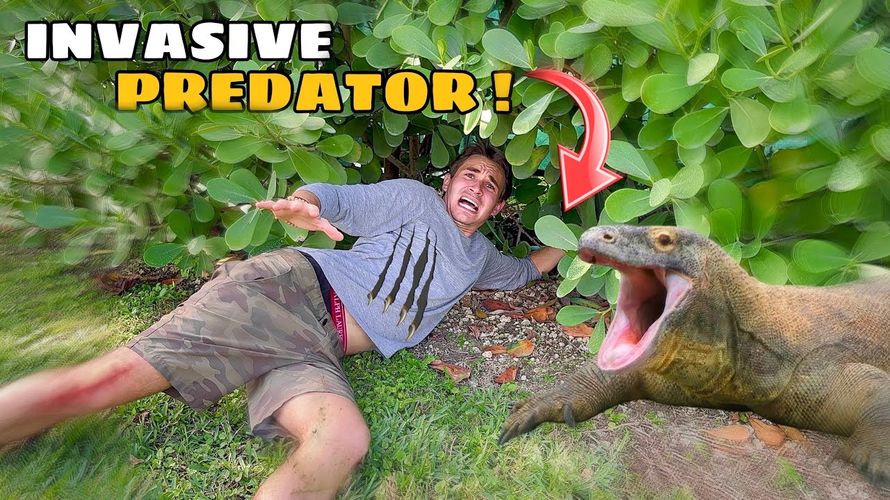 REMOVING INVASIVE SPECIES TAKING OVER MY BACKYARD !