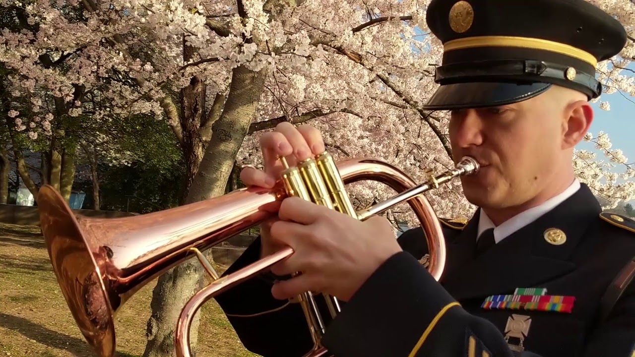 Sakura, Sakura