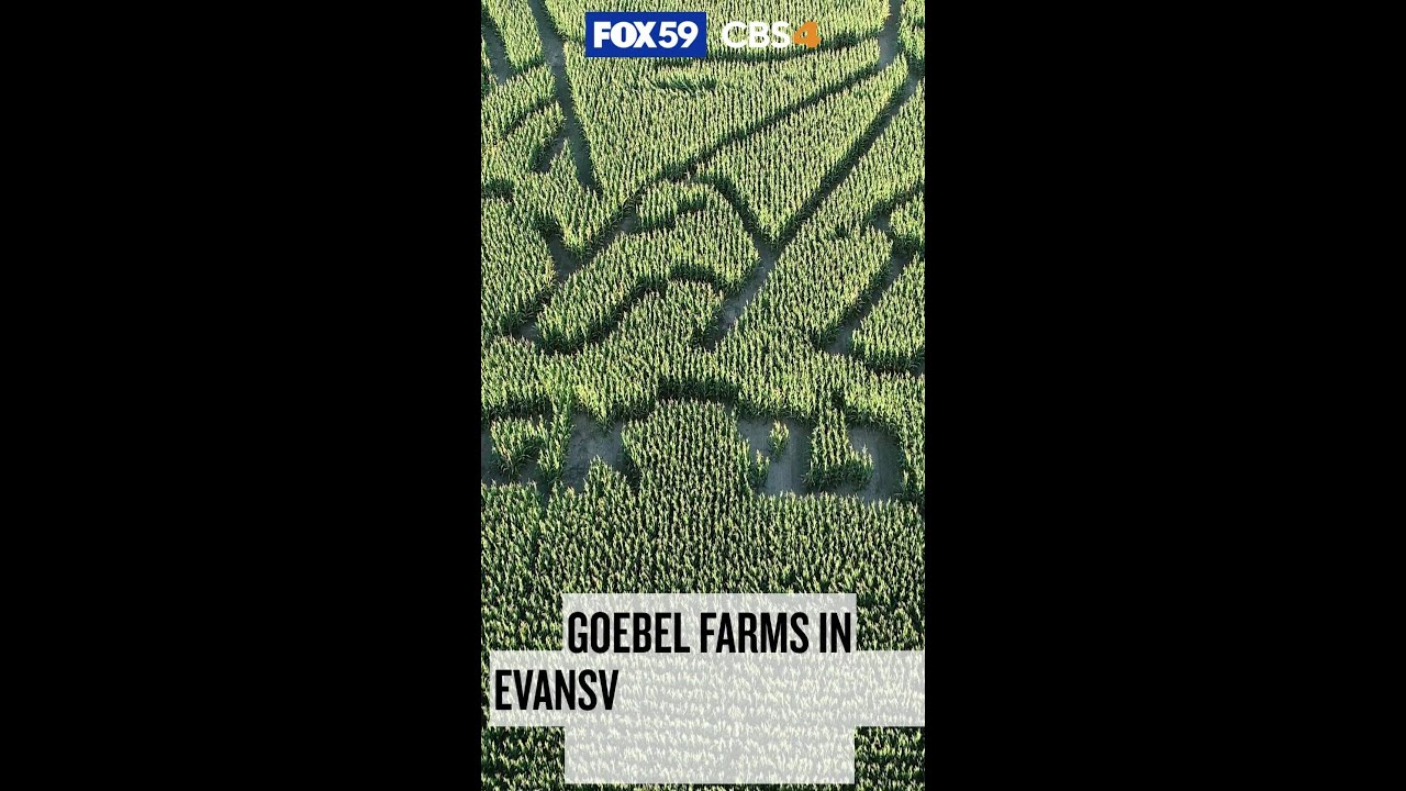 Evansville farm honors Charlie Kirk with corn maze memorial