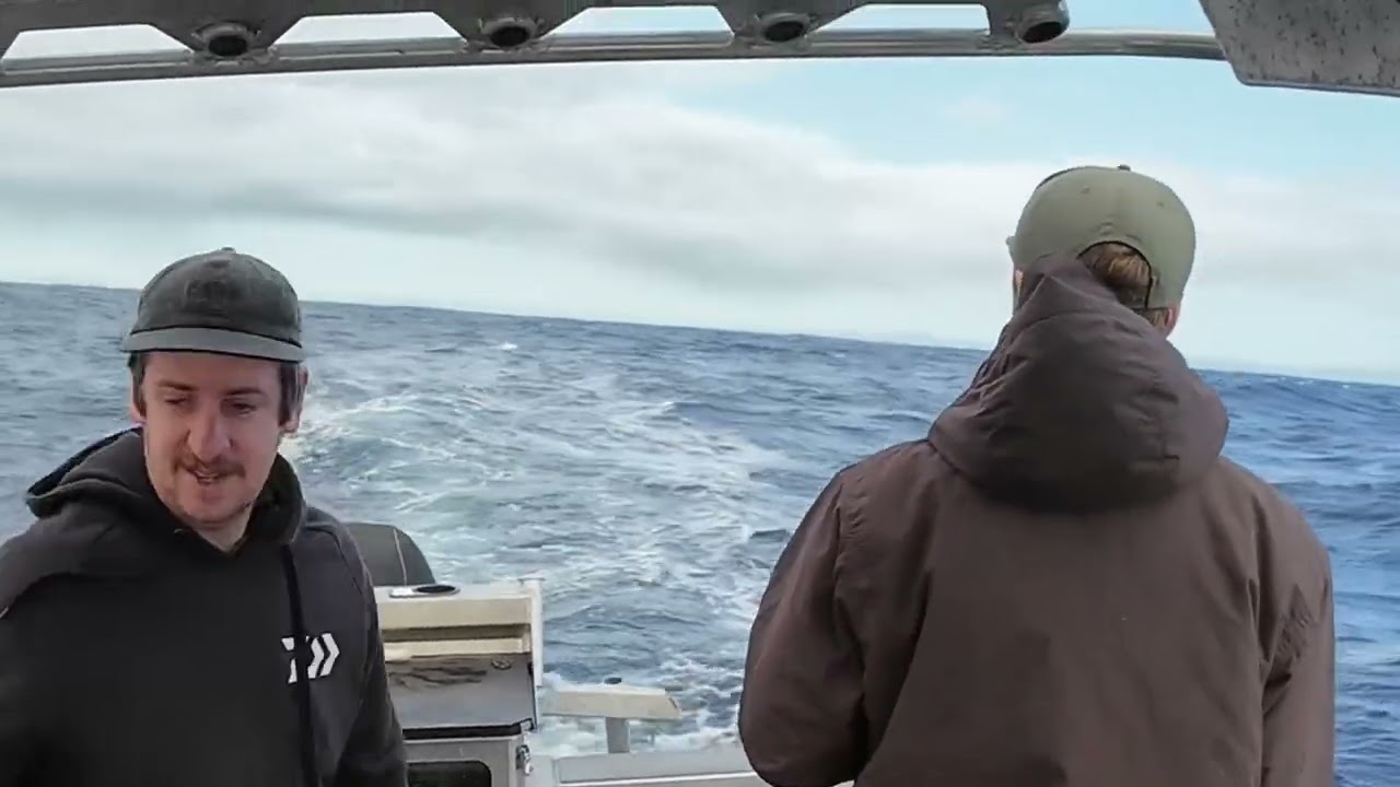 Stripe marlin hookup - Skip baiting off Port Macquarie