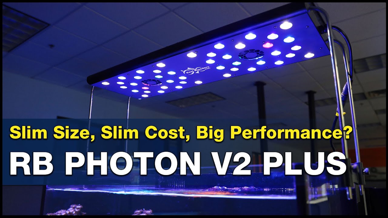 Is the Reef Breeders Photon V2 Plus the low cost SPS light you've been looking for?