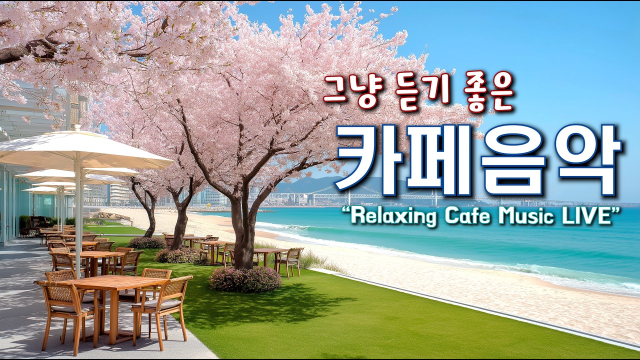 그냥 듣기 좋은 카페 음악 ☕일할때 듣기 좋은 음악 🎧아침에 듣기 좋은 음악 | Relaxing Cafe Music Playlist 260315