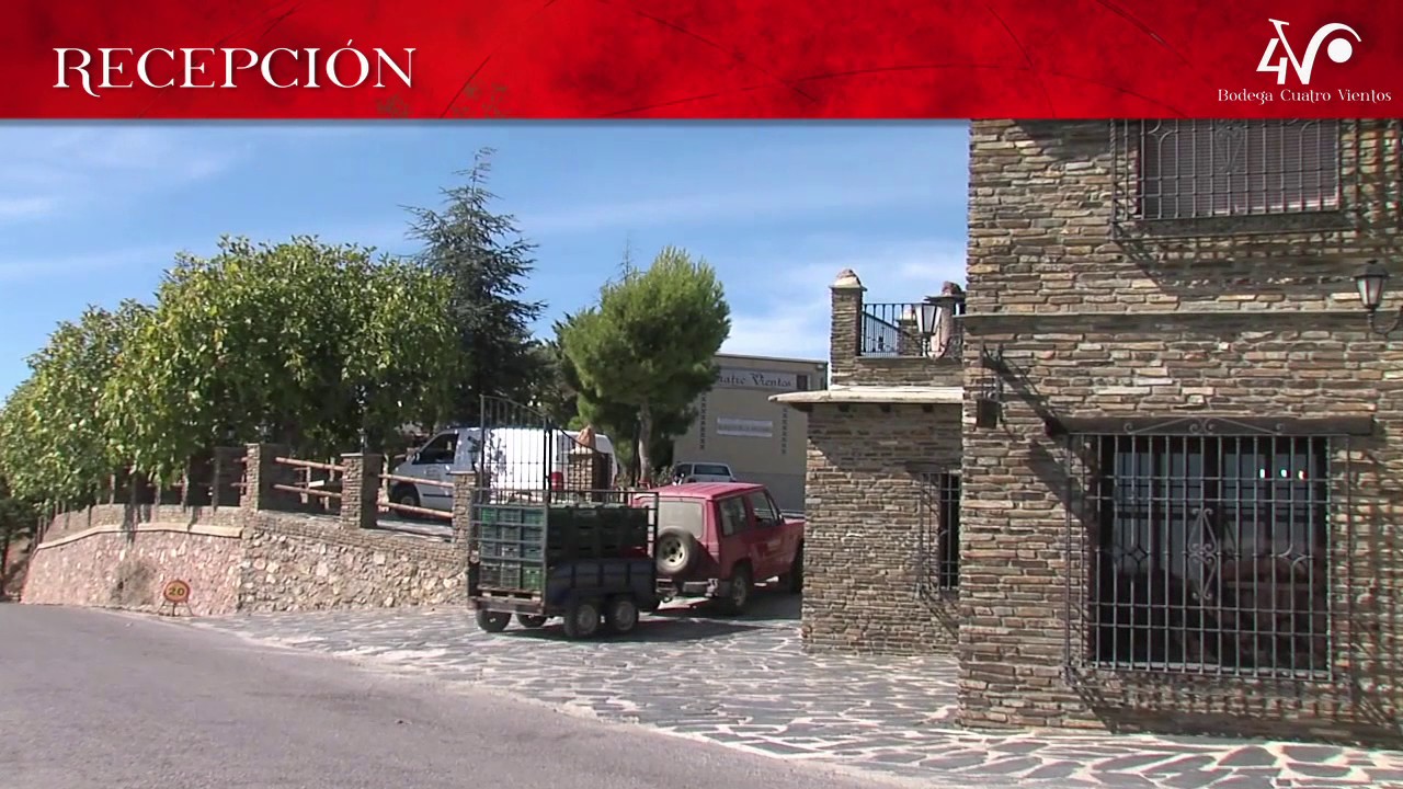 Proceso de vinificación (ES) Bodega Cuatro Vientos