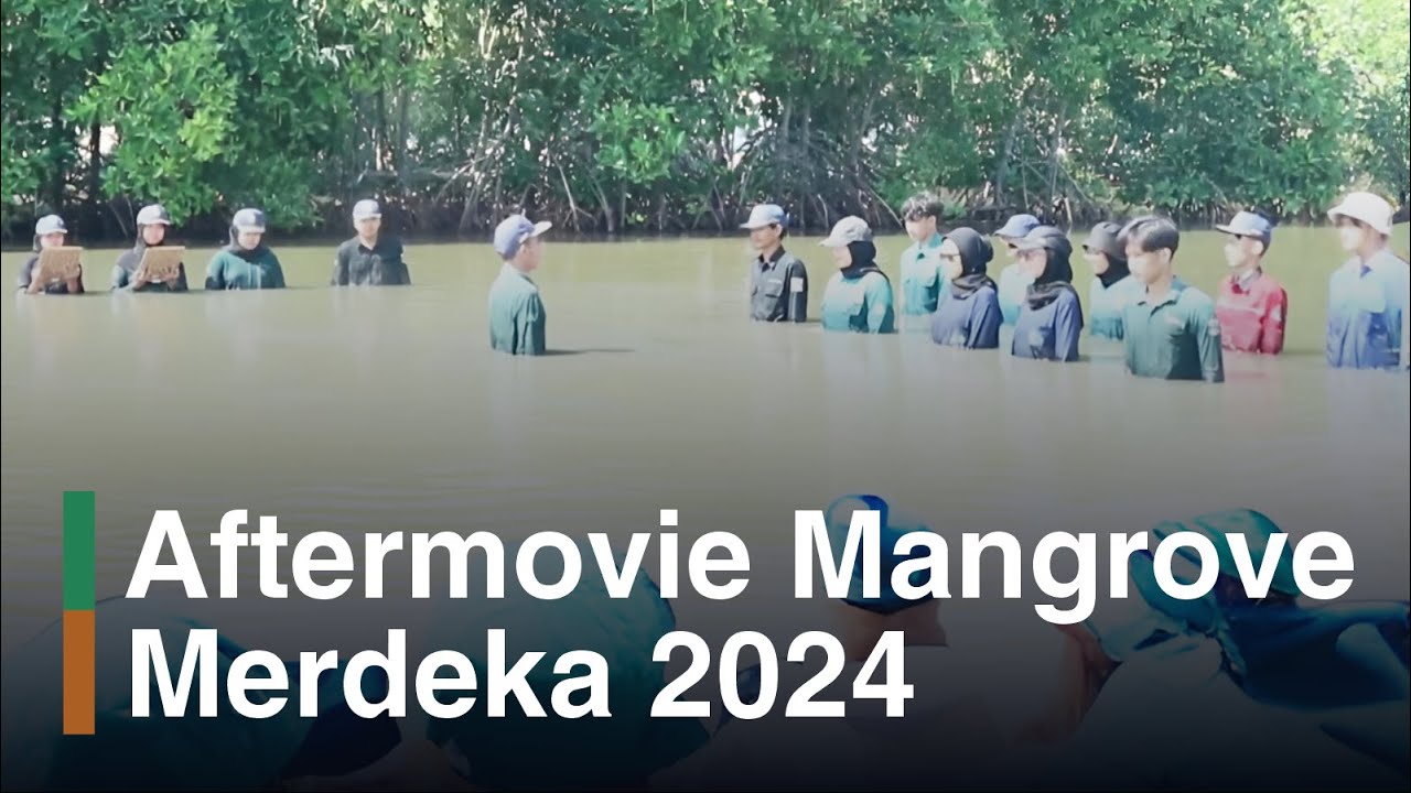 Aftermovie Mangrove Merdeka 2024: Upacara Bendera di Lumpur Mangrove
