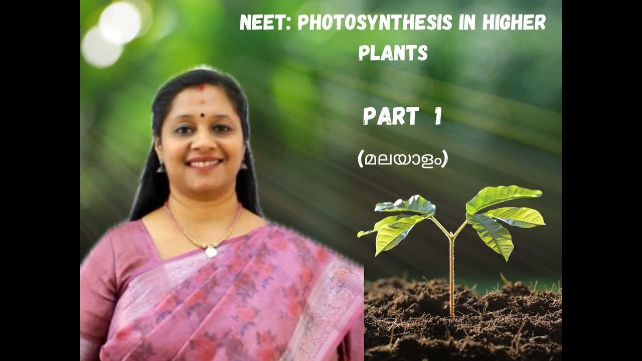 NEET: Photosynthesis In Higher Plants: Part1 (Malayalam)